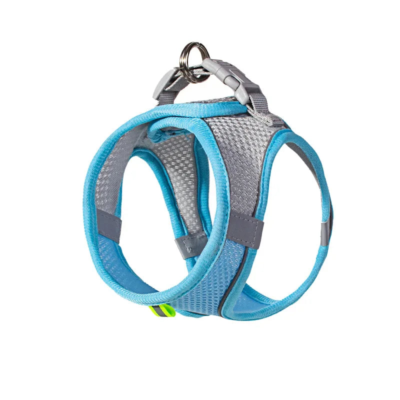 Ensemble Harnais Gilet et Laisse pour Chiot et Chat – Réfléchissant, Nylon Doux | XXS–L pour Chihuahua, Bouledogue Français et Petits Chiens (6 Couleurs)