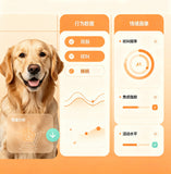 AI定制训练计划
