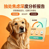 独处焦虑深度分析报告