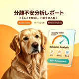 独处焦虑深度分析报告