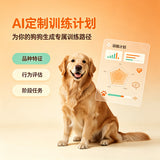 AI定制训练计划
