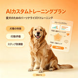 AI定制训练计划