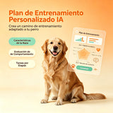 AI定制训练计划