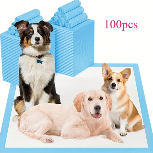 Disposable Pet Urine Pads for Large Breeds – Super Absorbent, Leak-Proof | S & L Sizes, Blue & Pink (100 Pcs)