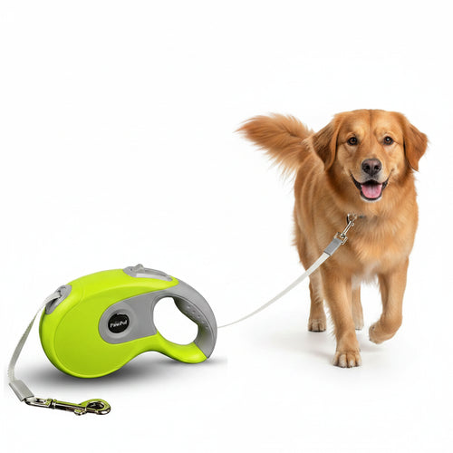 Retractable Dog Leash 3M/5M – One-Hand Brake, Tangle-Free Nylon Tape | Safe for Small to Large Dogs (6 Colors)