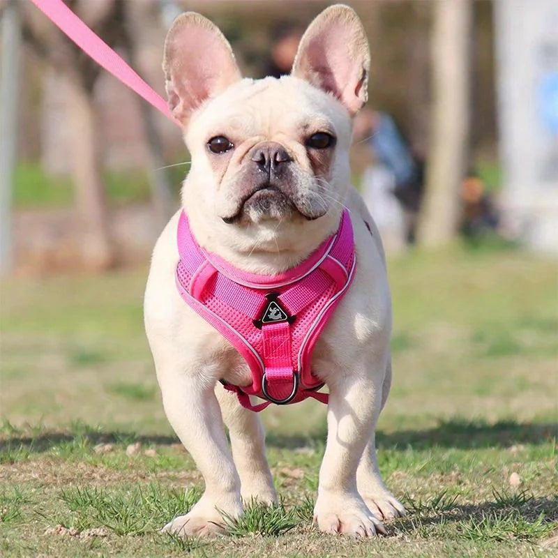 No-Pull Dog Harness & Leash Set – Reflective, Adjustable Vest for Small Dogs & Cats | Quick Release, S–XL (6 Colors)