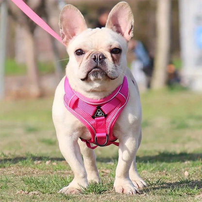 No-Pull Dog Harness & Leash Set – Reflective, Adjustable Vest for Small Dogs & Cats | Quick Release, S–XL (6 Colors)