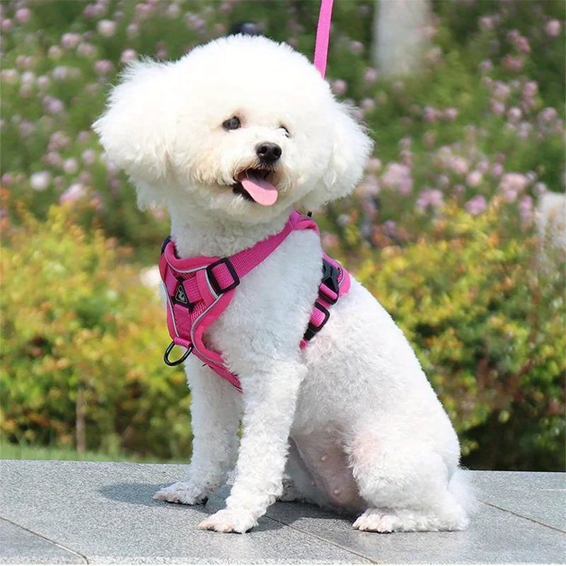 No-Pull Dog Harness & Leash Set – Reflective, Adjustable Vest for Small Dogs & Cats | Quick Release, S–XL (6 Colors)
