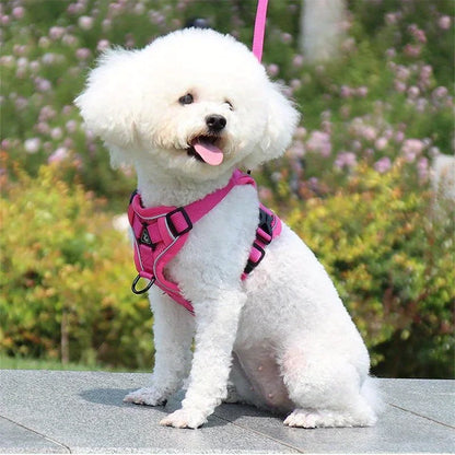 No-Pull Dog Harness & Leash Set – Reflective, Adjustable Vest for Small Dogs & Cats | Quick Release, S–XL (6 Colors)