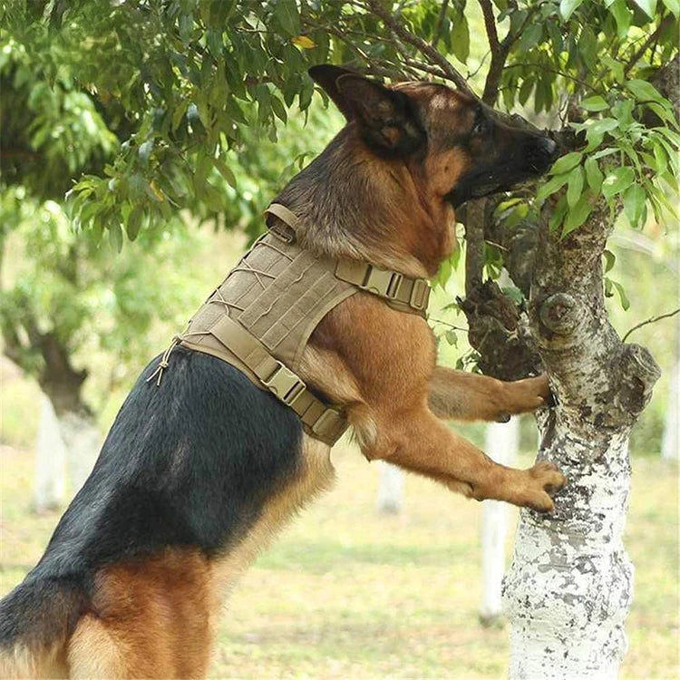 Tactical Dog Harness – Military-Grade Padded Nylon Vest | Quick Release, M–XL for Medium & Large Dogs (4 Colors)