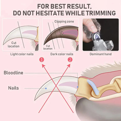 Professional Pet Nail Clipper with LED Light – Stainless Steel, Safe Trimming for Cats, Dogs & Rabbits | Ergonomic Handle