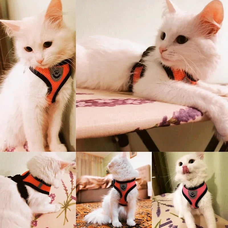 Cat & Dog Harness Vest with Leash – Reflective, Adjustable Polyester | S–L, 8 Colors (55g, 1.2m Lead)