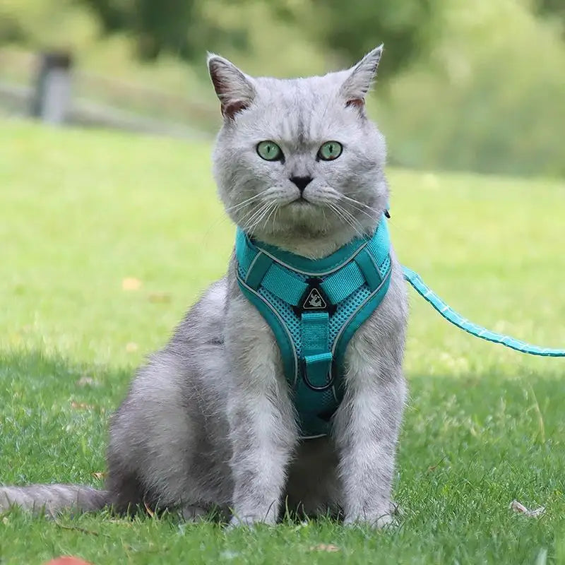 No-Pull Dog Harness & Leash Set – Reflective, Adjustable Vest for Small Dogs & Cats | Quick Release, S–XL (6 Colors)