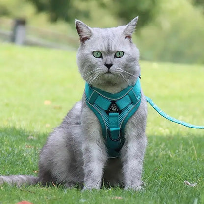 No-Pull Dog Harness & Leash Set – Reflective, Adjustable Vest for Small Dogs & Cats | Quick Release, S–XL (6 Colors)