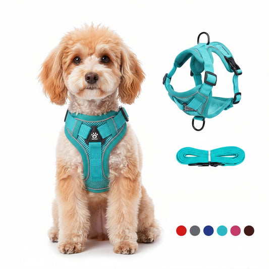 No-Pull Dog Harness & Leash Set – Reflective, Adjustable Vest for Small Dogs & Cats | Quick Release, S–XL (6 Colors)