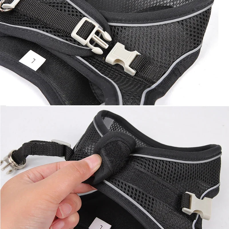Puppy & Cat Harness Vest Set with Leash – Reflective, Soft Nylon | XXS–L for Chihuahua, French Bulldog & Small Dogs (6 Colors)