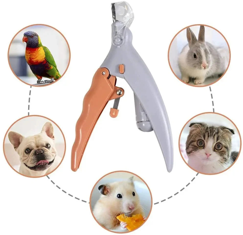 Professional Pet Nail Clipper with LED Light – Stainless Steel, Safe Trimming for Cats, Dogs & Rabbits | Ergonomic Handle