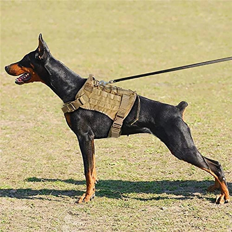 Tactical Dog Harness – Military-Grade Padded Nylon Vest | Quick Release, M–XL for Medium & Large Dogs (4 Colors)