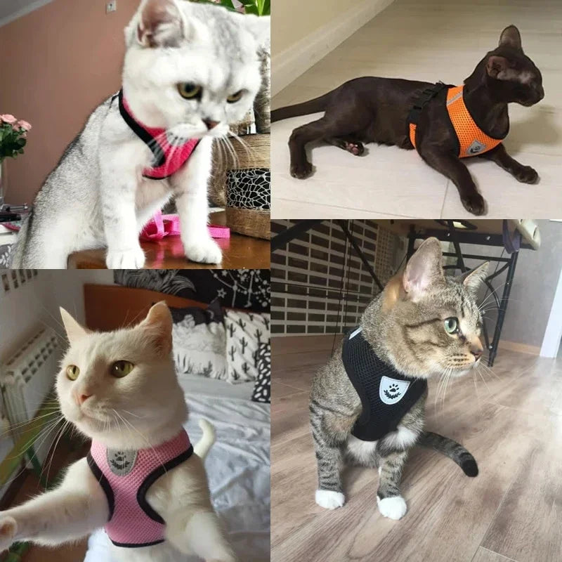 Cat & Dog Harness Vest with Leash – Reflective, Adjustable Polyester | S–L, 8 Colors (55g, 1.2m Lead)