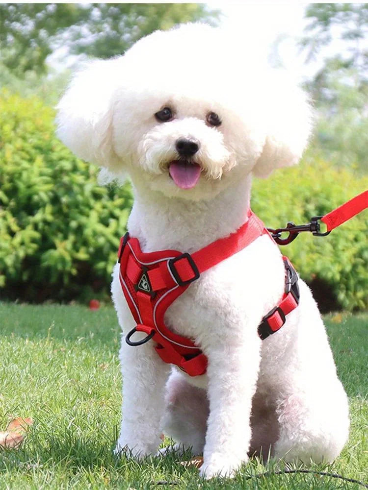 No-Pull Dog Harness & Leash Set – Reflective, Adjustable Vest for Small Dogs & Cats | Quick Release, S–XL (6 Colors)