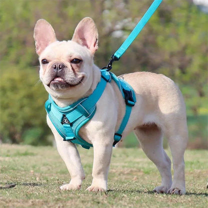 No-Pull Dog Harness & Leash Set – Reflective, Adjustable Vest for Small Dogs & Cats | Quick Release, S–XL (6 Colors)