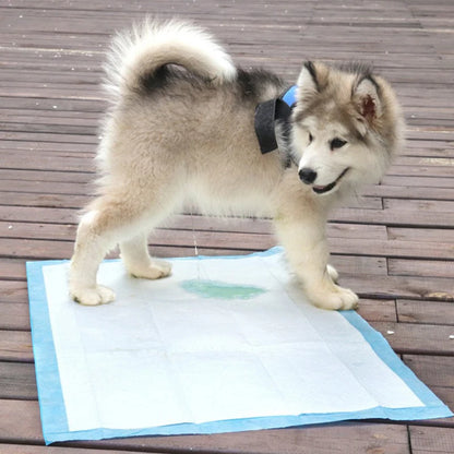 Super Absorbent Dog Training Pads – Leak-Proof Disposable Puppy Pee Pads | 33×45cm, Packs of 20/50/100