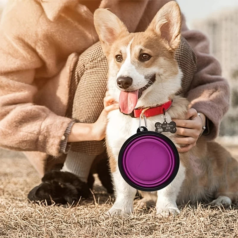 Collapsible Pet Travel Bowl – Portable TPR Silicone Food & Water Bowl | 350ml, 9 Colors for Dogs & Cats