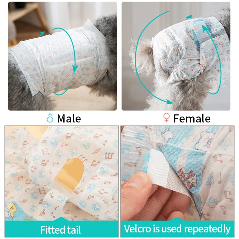 Dog Diapers & Physiological Pants – Super Absorbent, Leak-Proof | Female & Male, XXS–XL, Non-Woven (Fast US Shipping)
